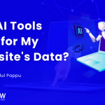 Are AI Tools Safe for My Website’s Data?